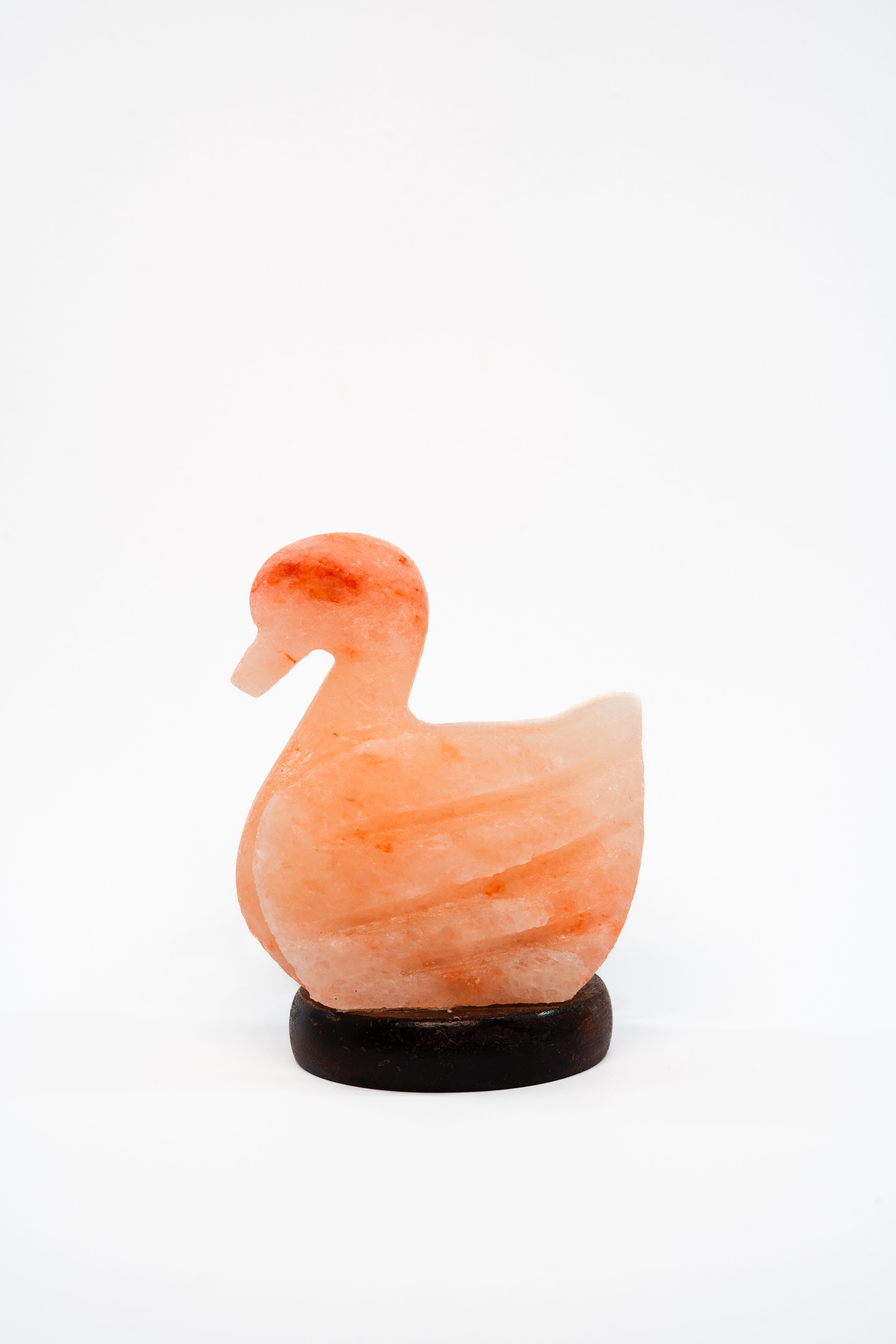 Golden Quack Lamp