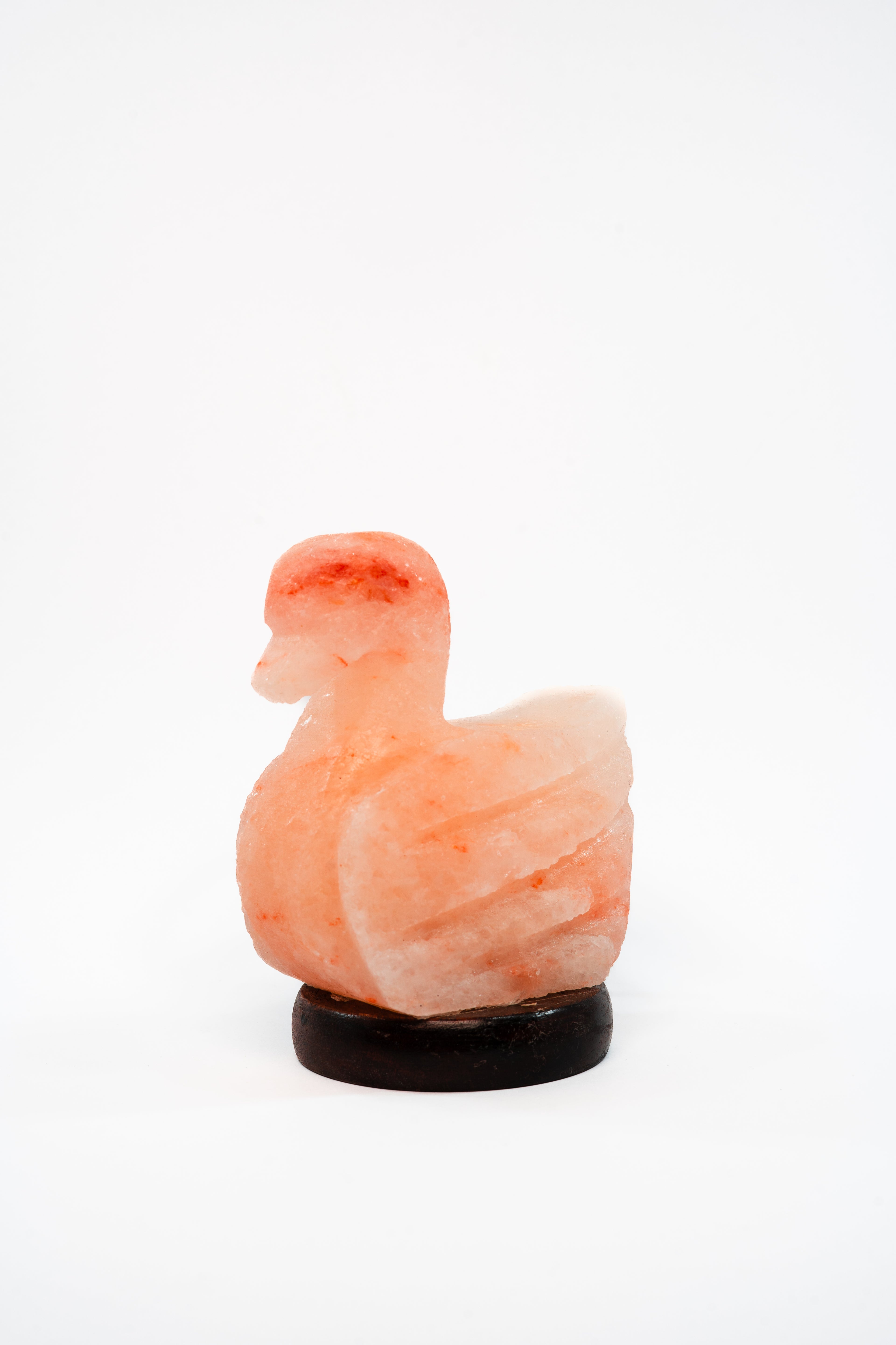 Golden Quack Lamp