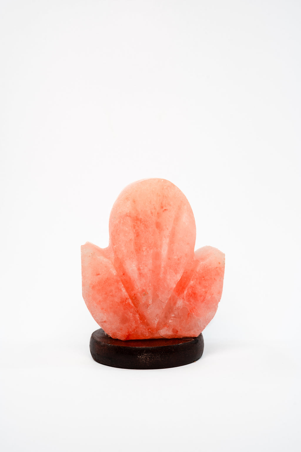 Lotique Lamp
