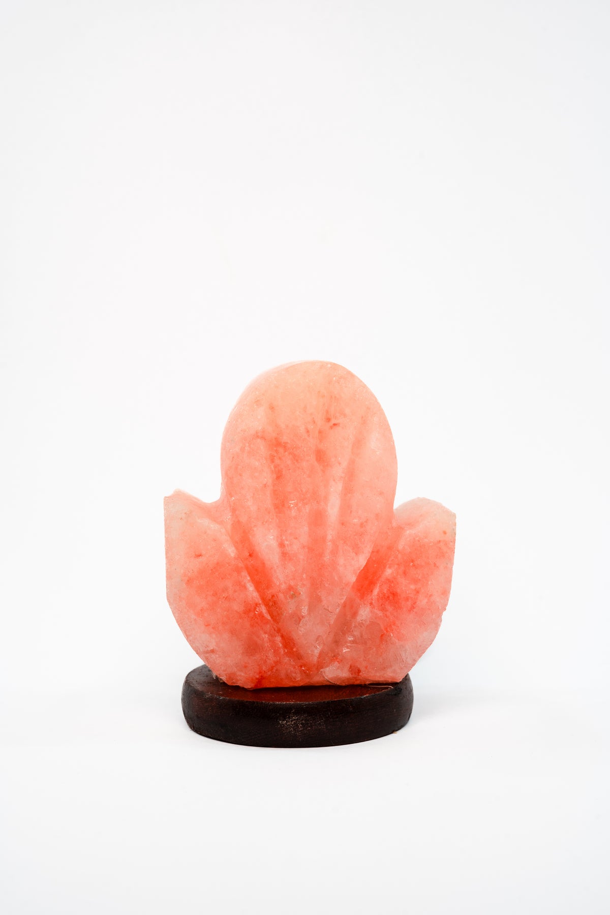 Lotique Lamp