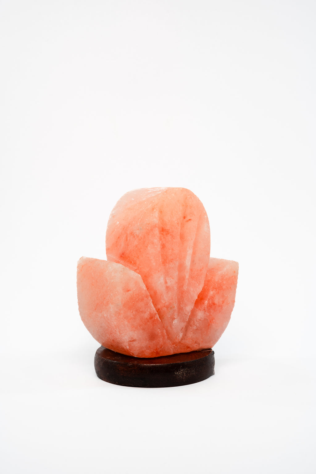 Lotique Lamp