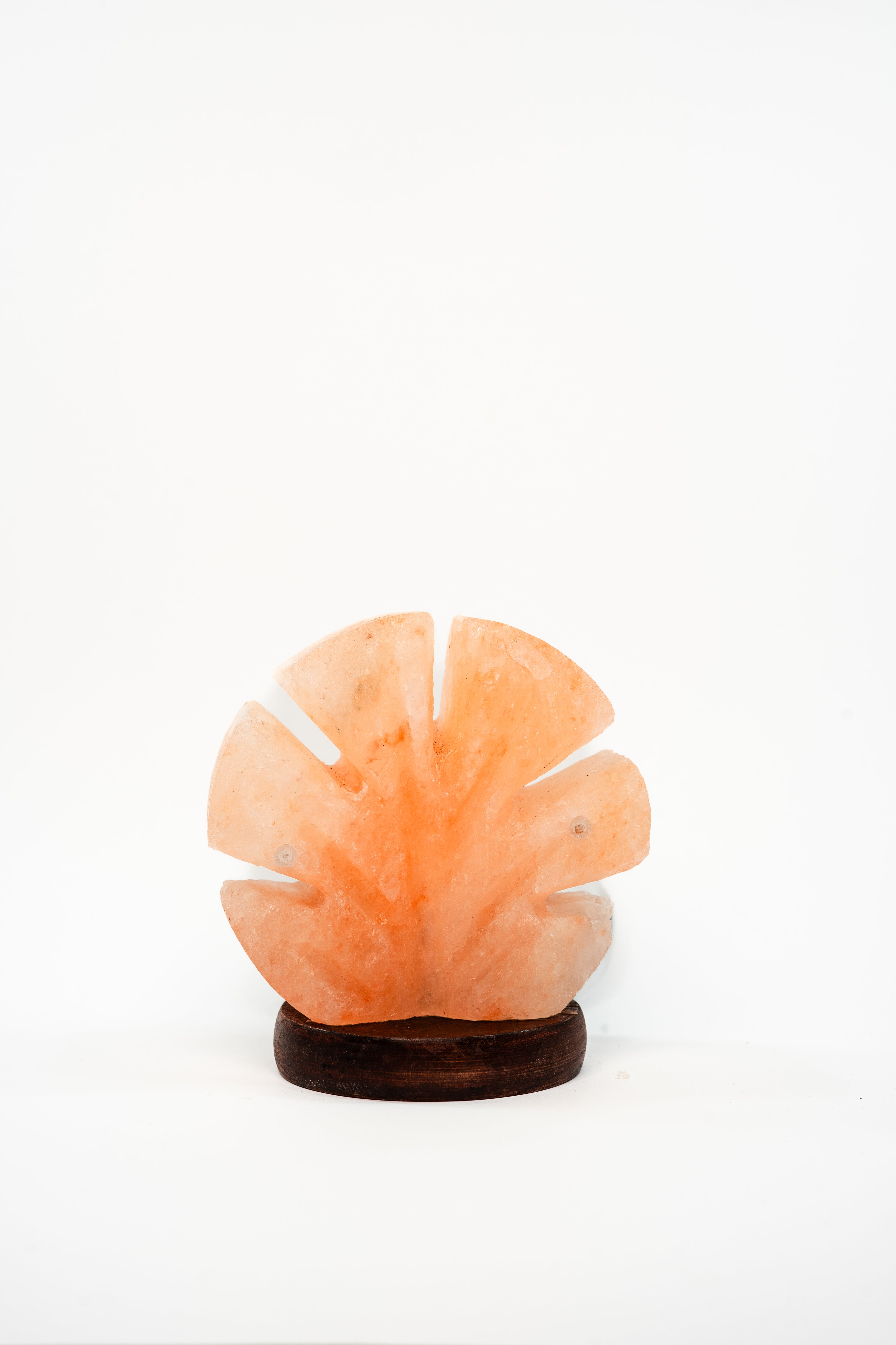 Petal Beam Light