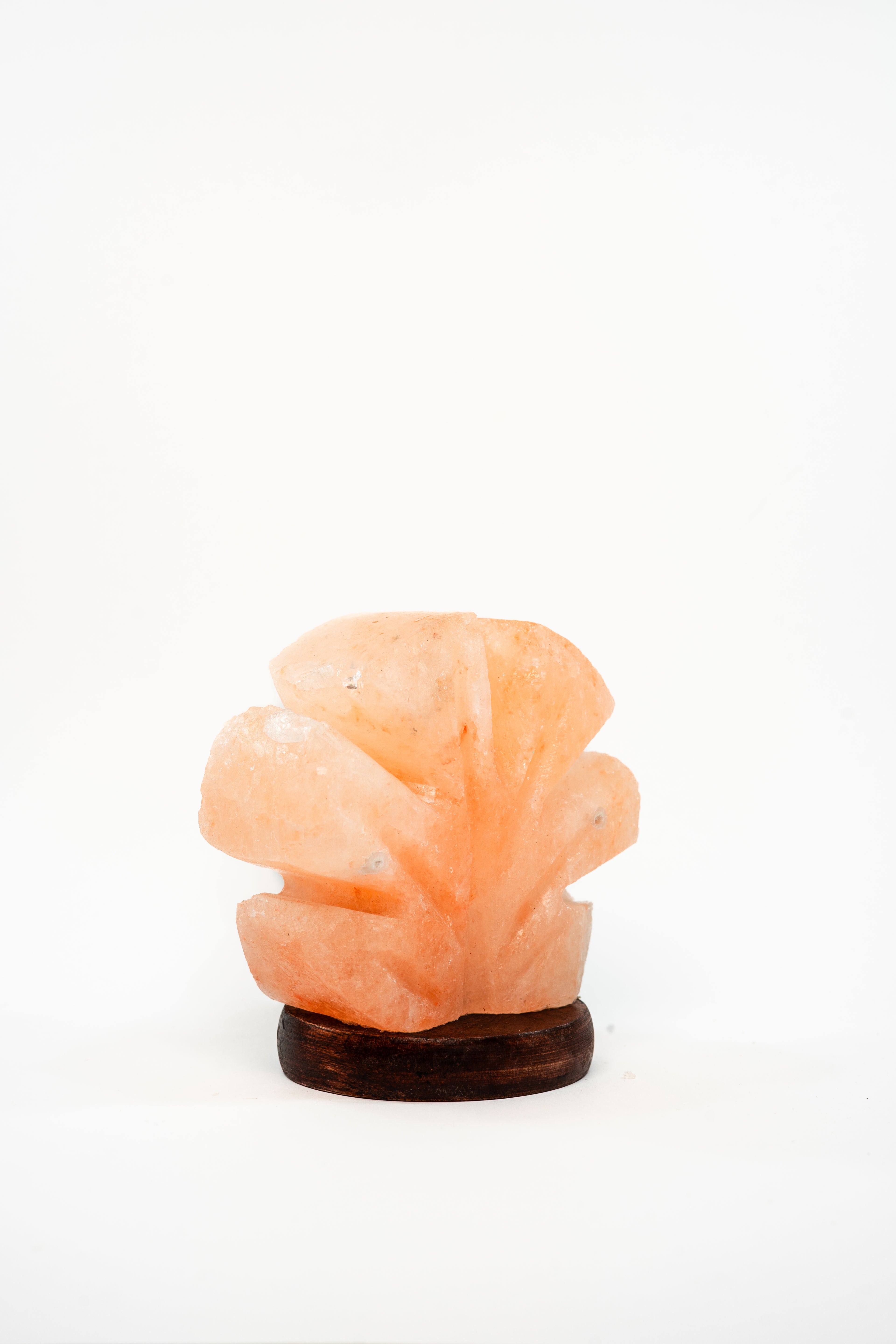 Petal Beam Light