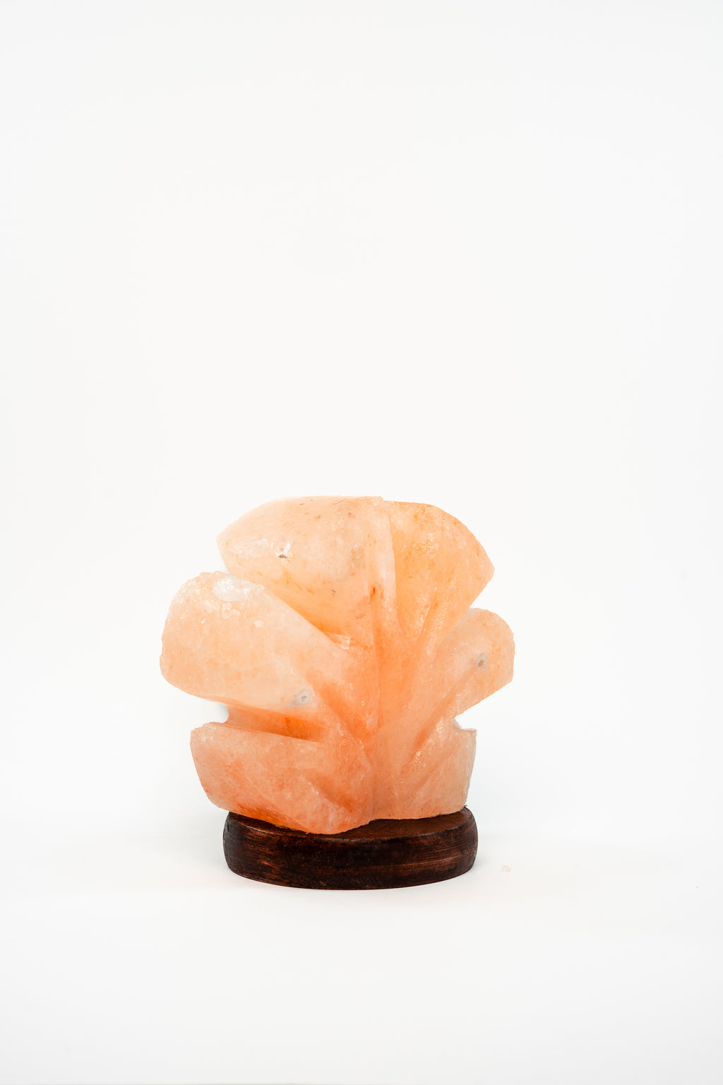 Petal Beam Light