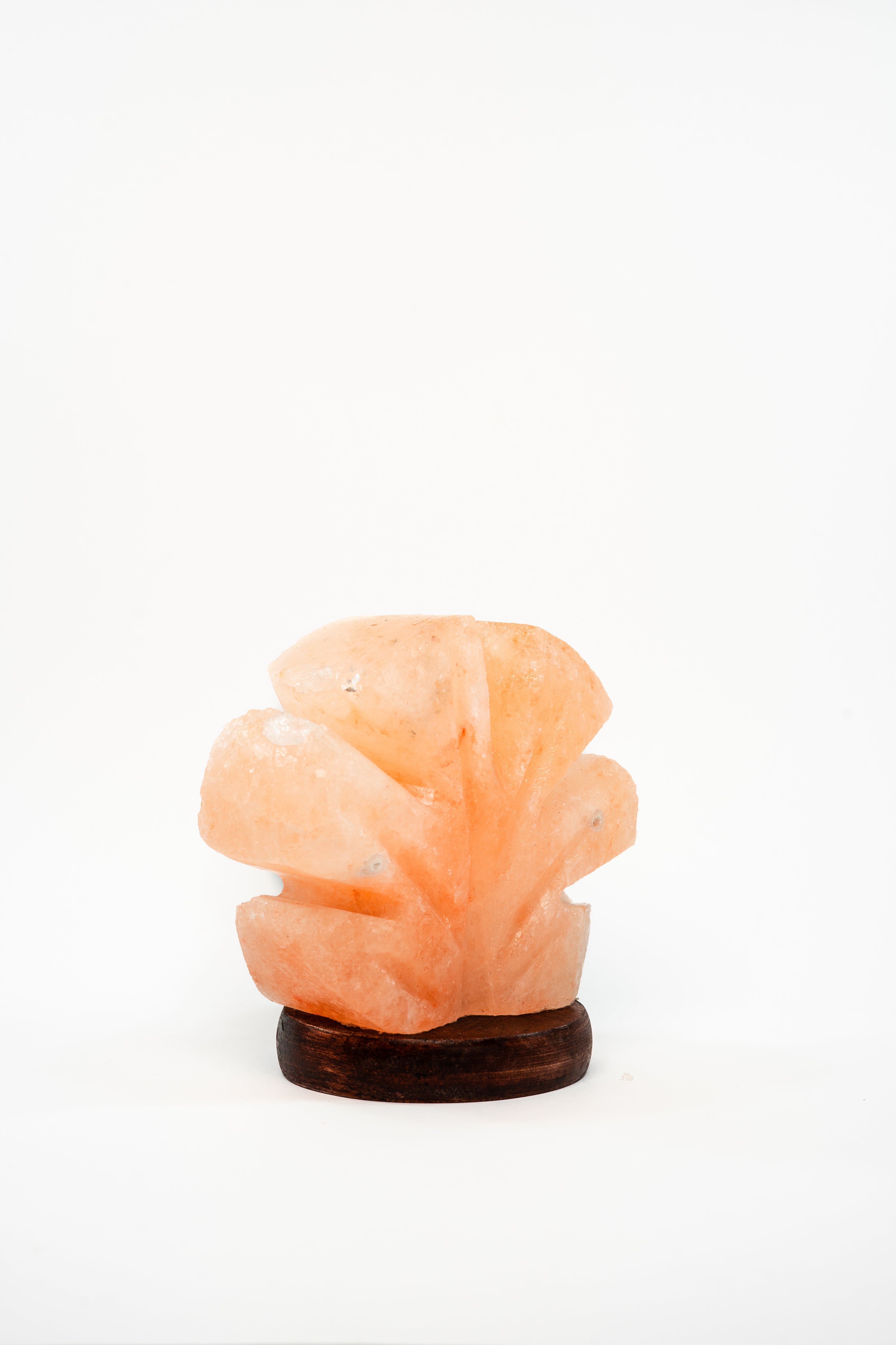 Petal Beam Light