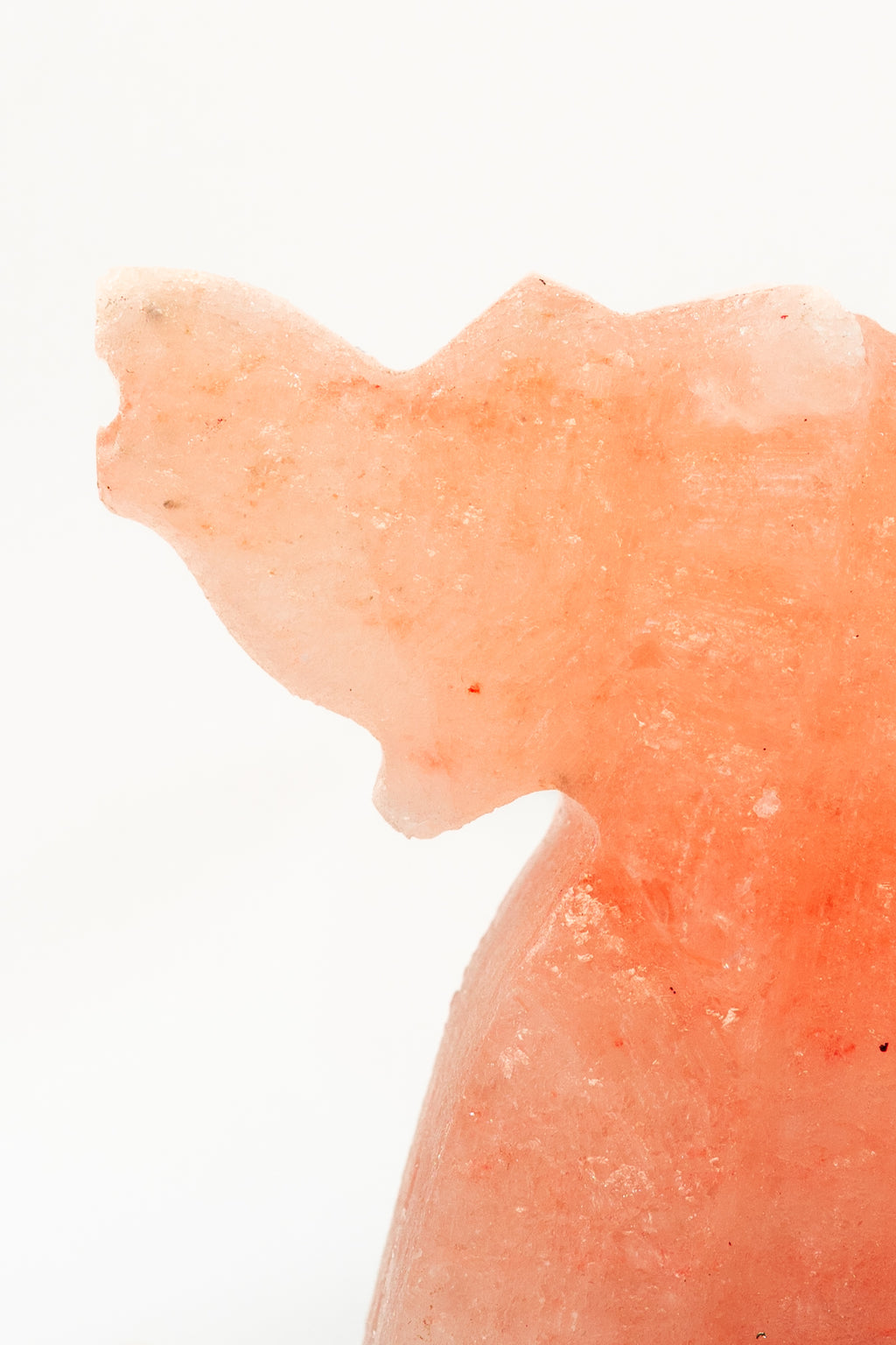 Elephant Aura