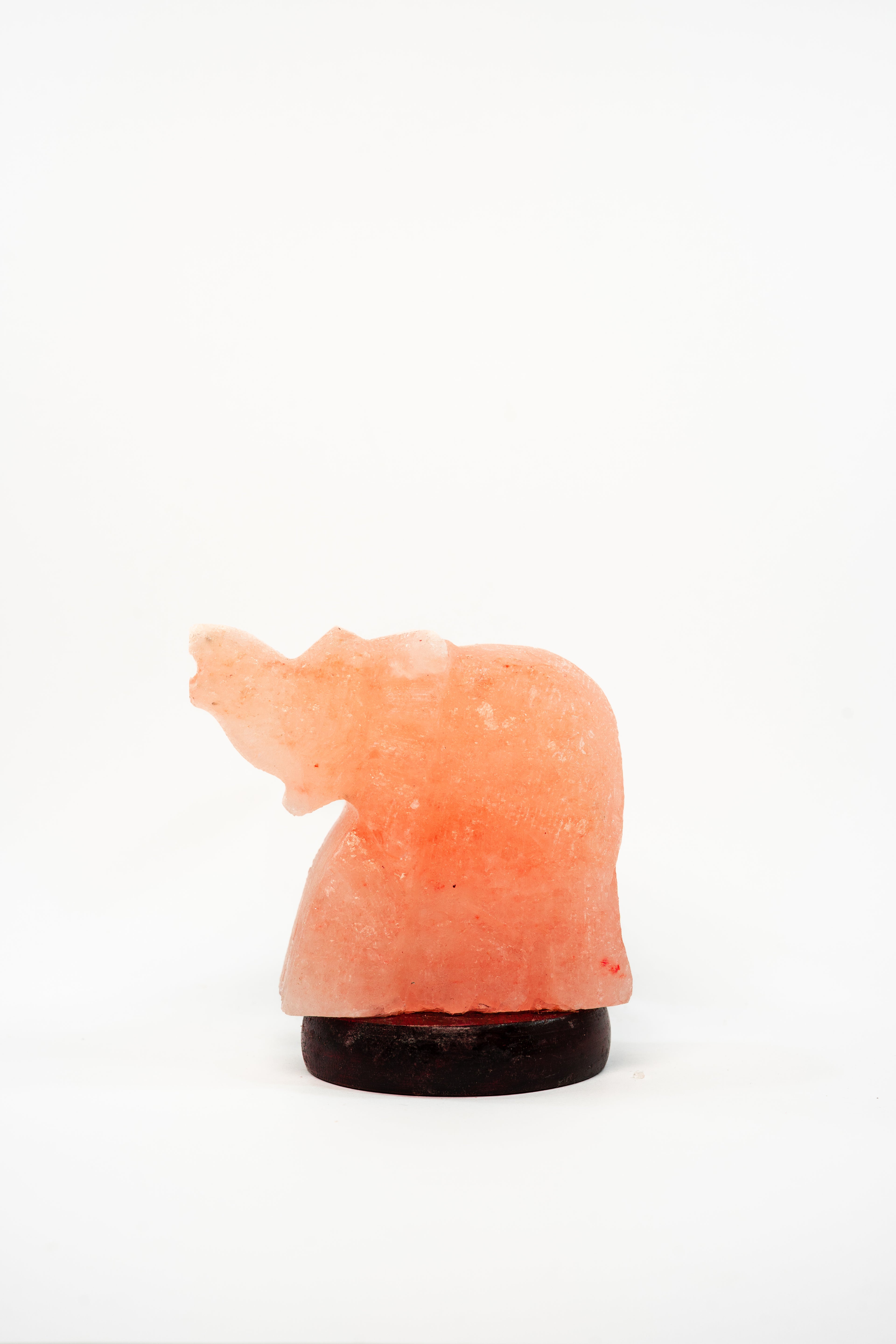 Elephant Aura