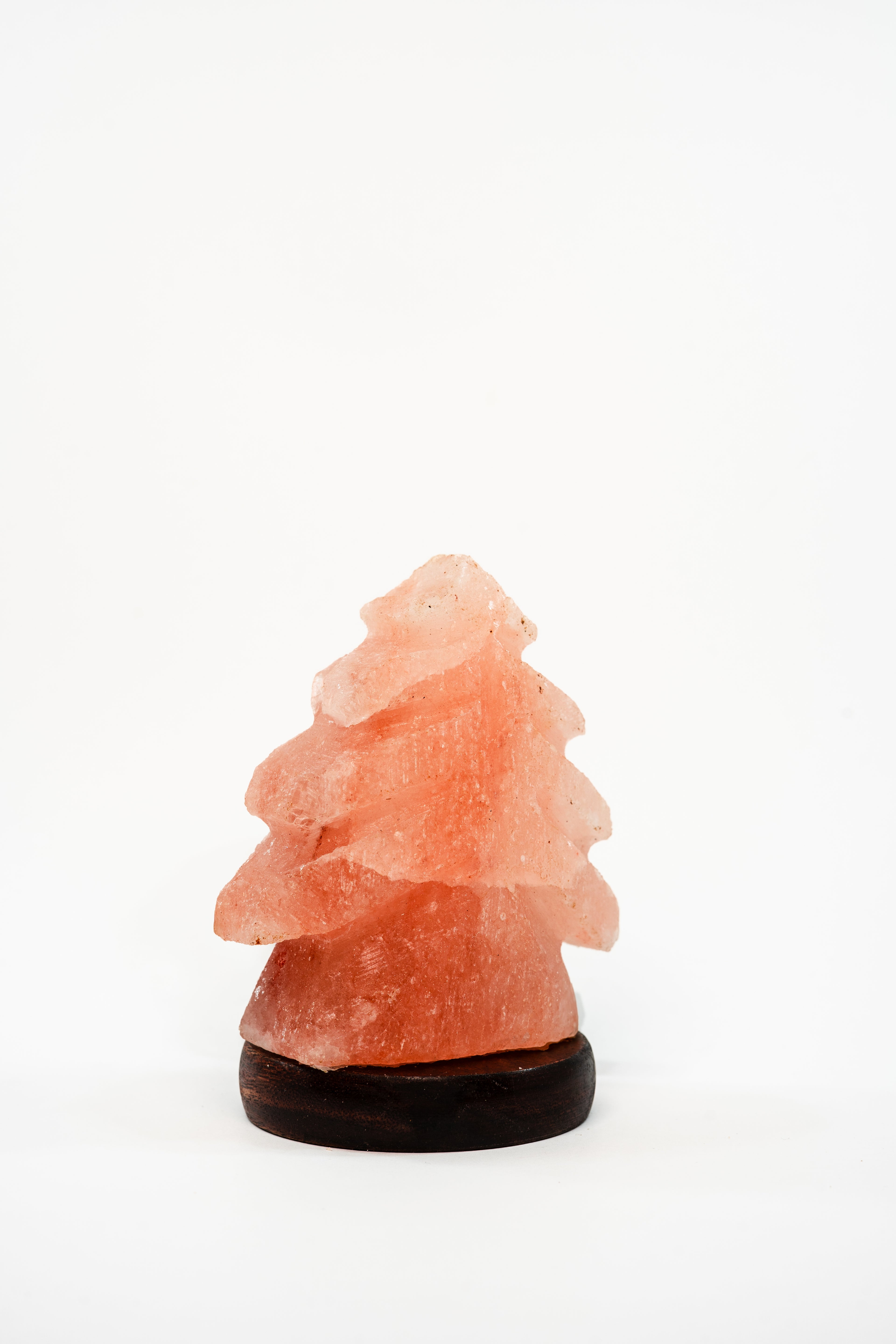 GlowPine Lamp