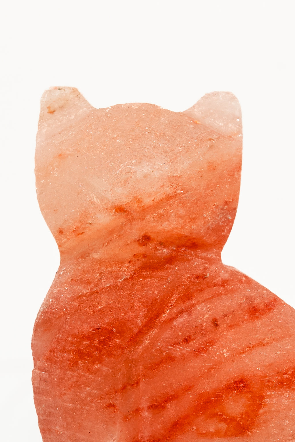 Cat Beam