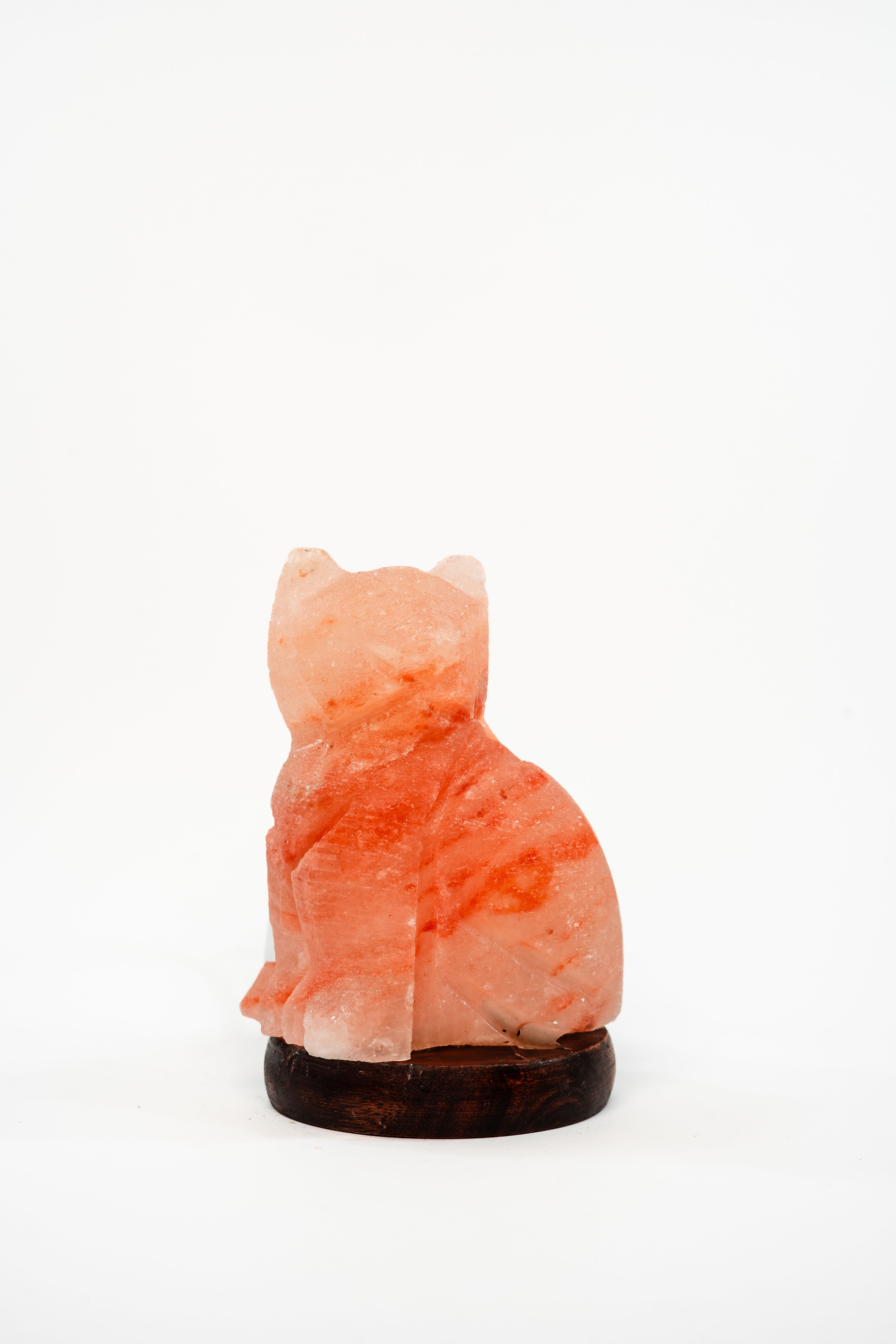Cat Beam