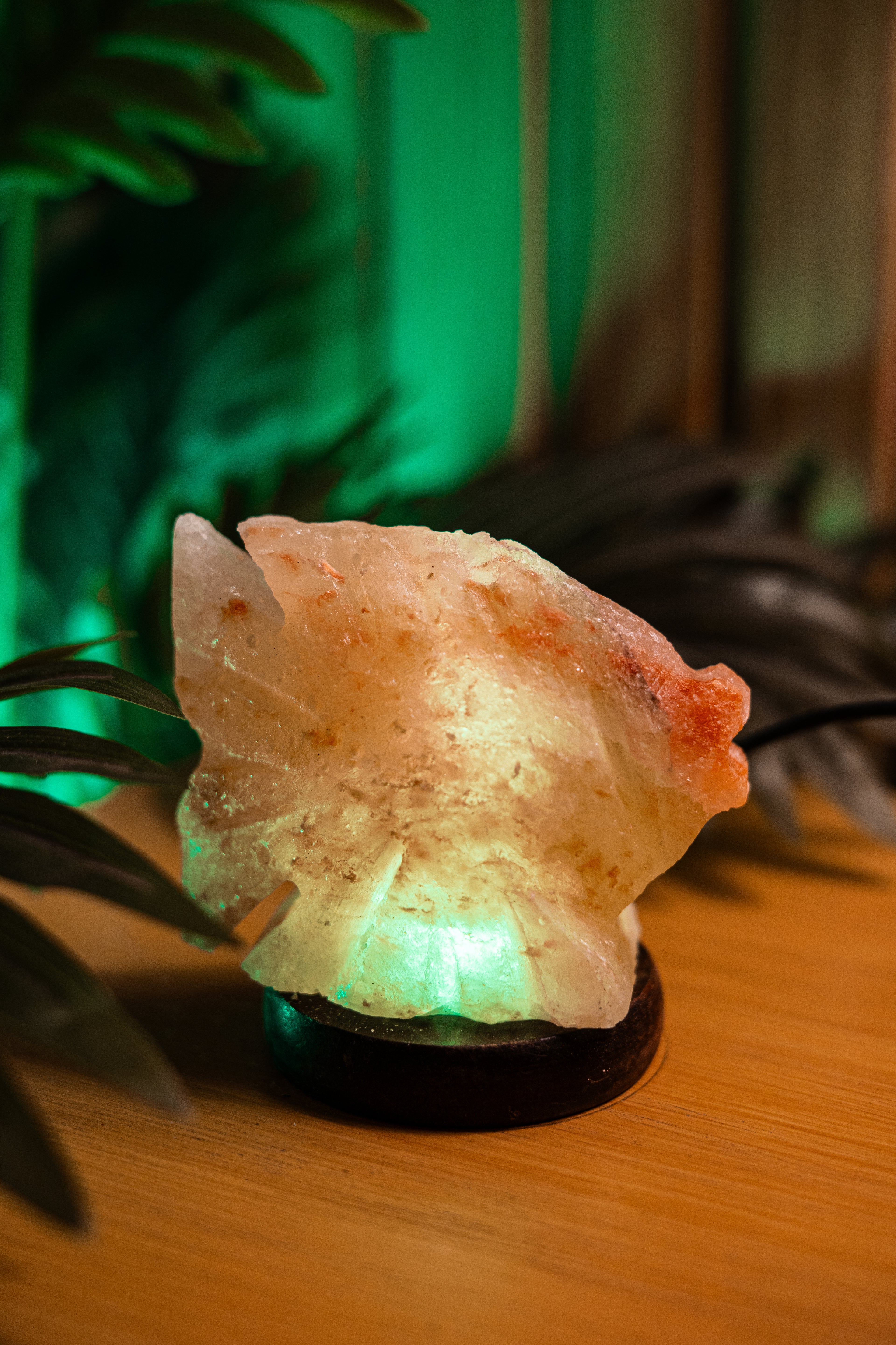 Fish Light