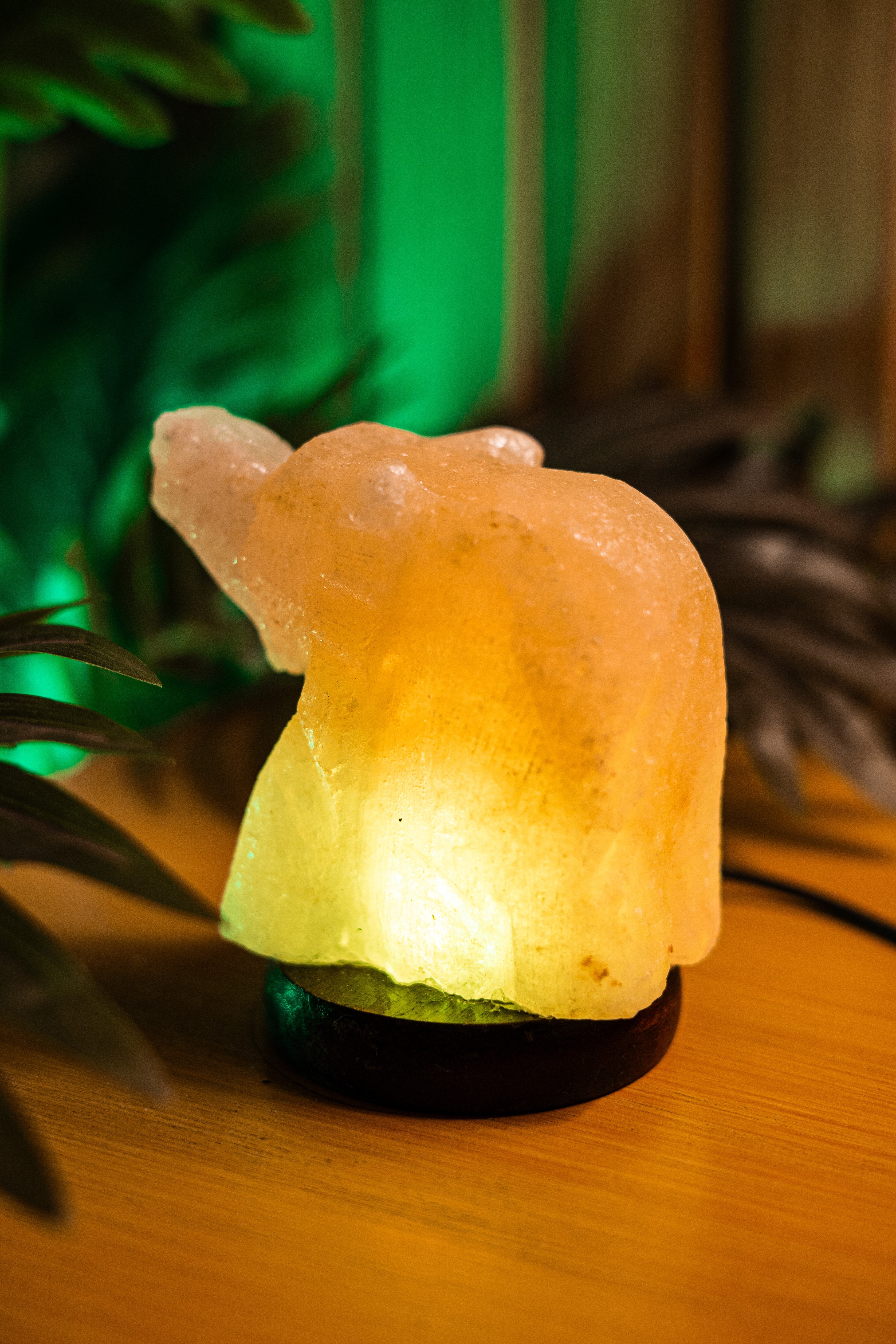 Elephant Aura