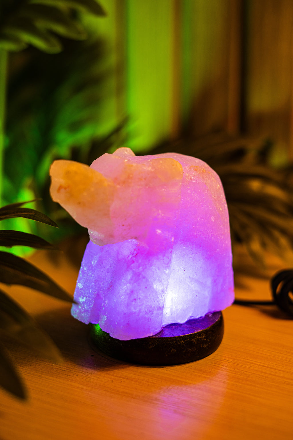 Elephant Aura