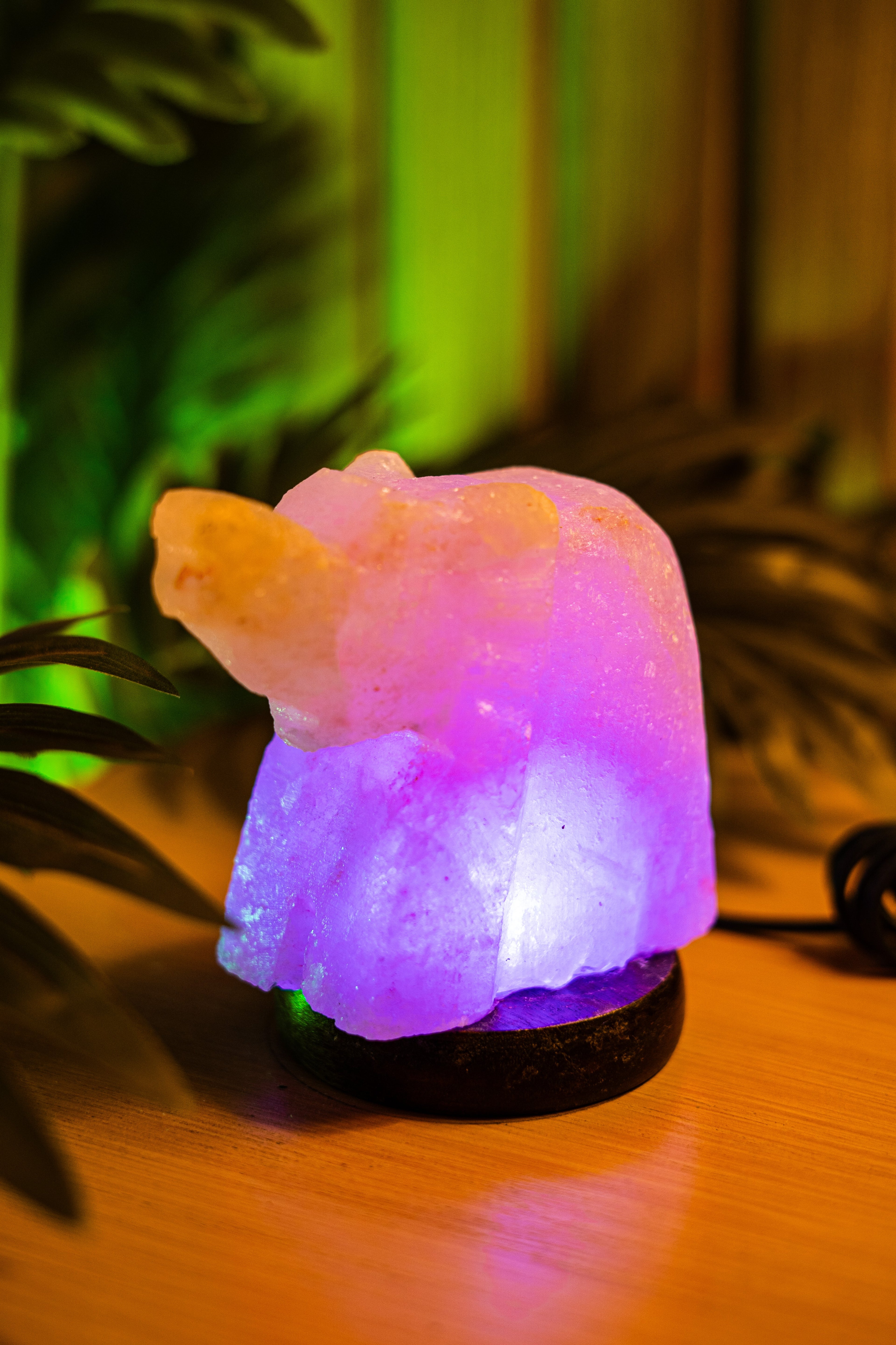 Elephant Aura
