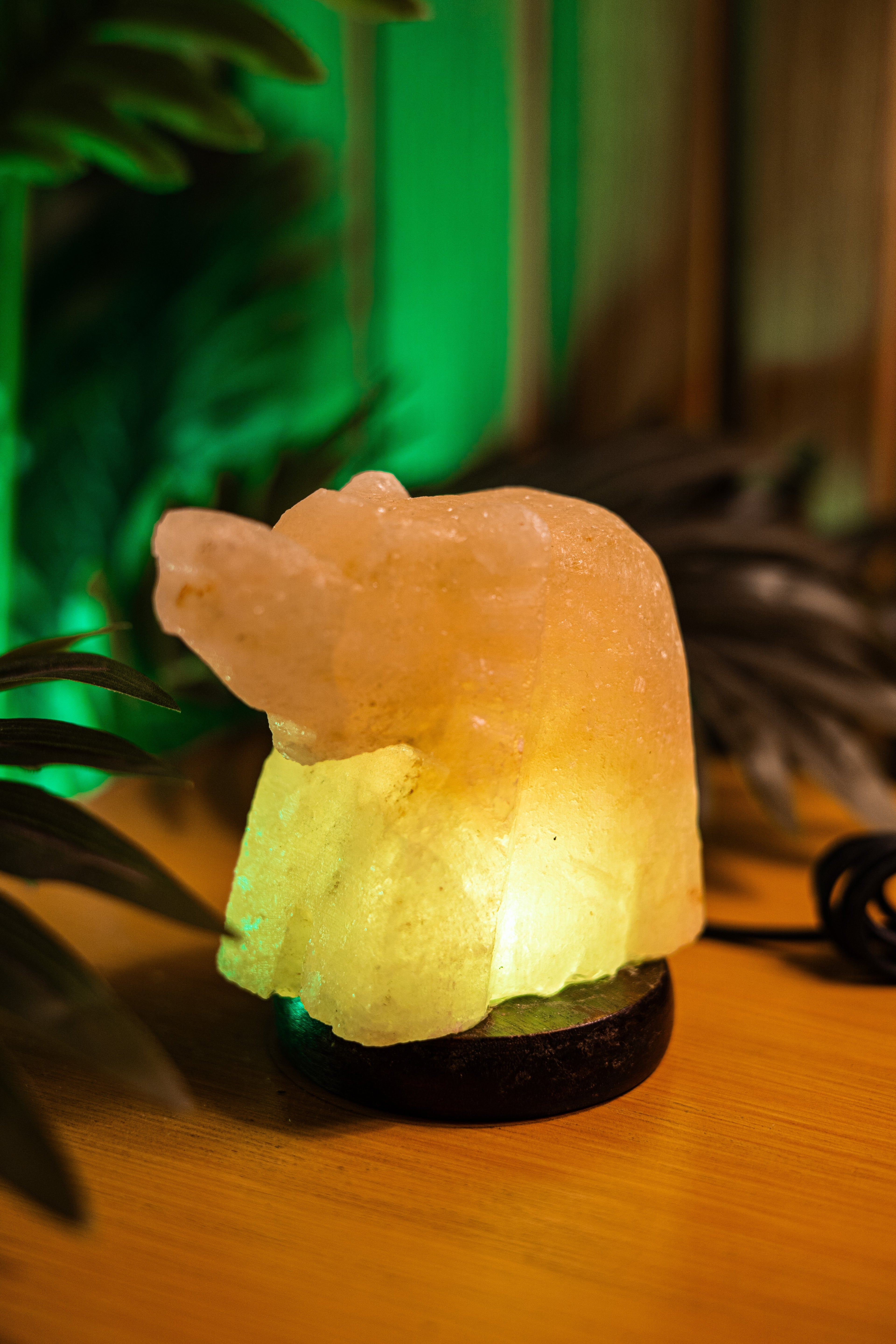 Elephant Aura