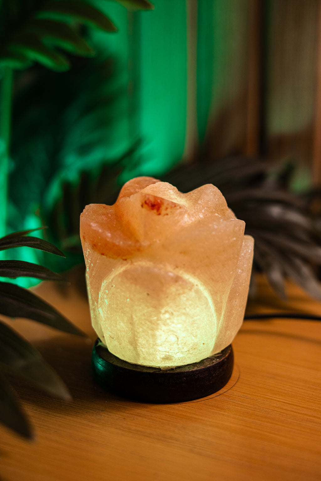 Tulip Petal Lamp