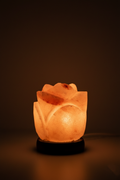 Tulip Petal Lamp