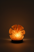 Petal Beam Light